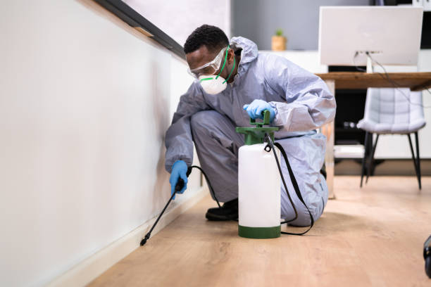 Real Estate Pest Inspections in Edwards Af, CA